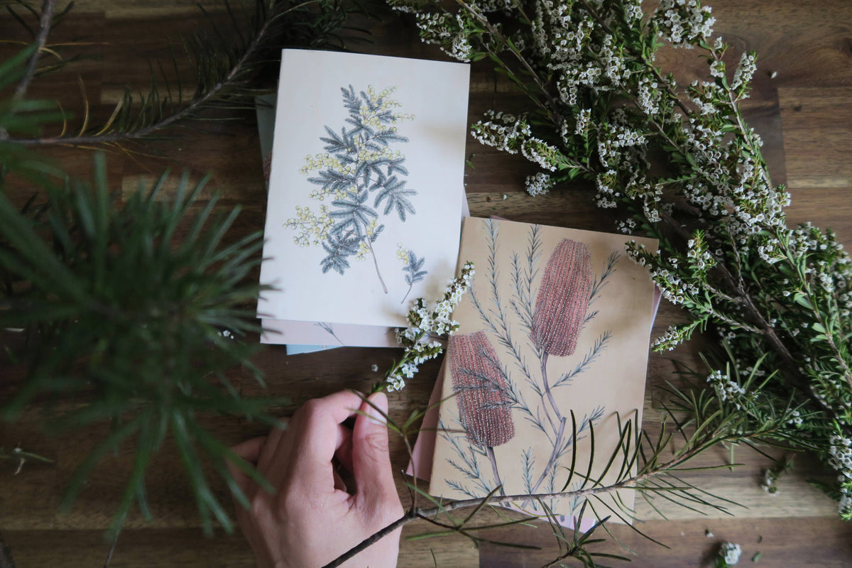 Banksia Portrait Card